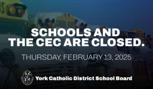 Schools and the CEC are closed.